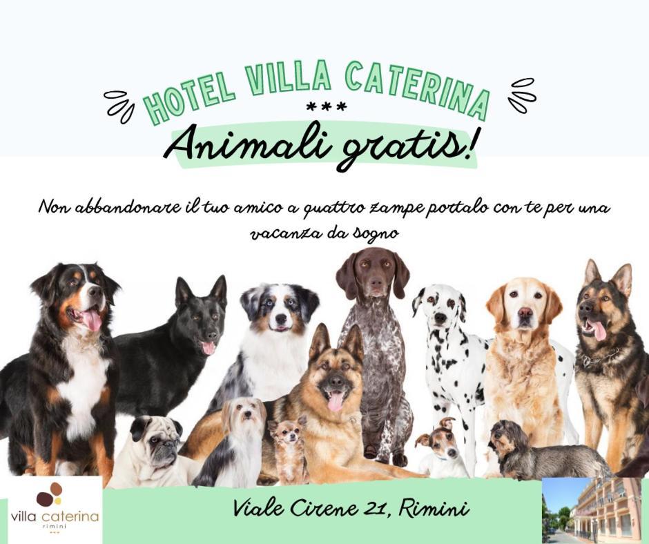 Hotel Villa Caterina Rimini Dış mekan fotoğraf